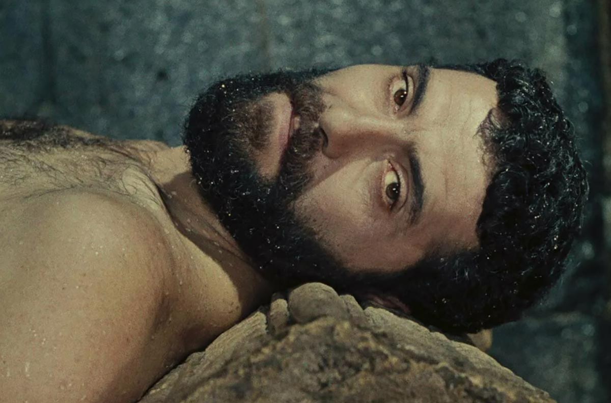 кадр Цвет граната 9