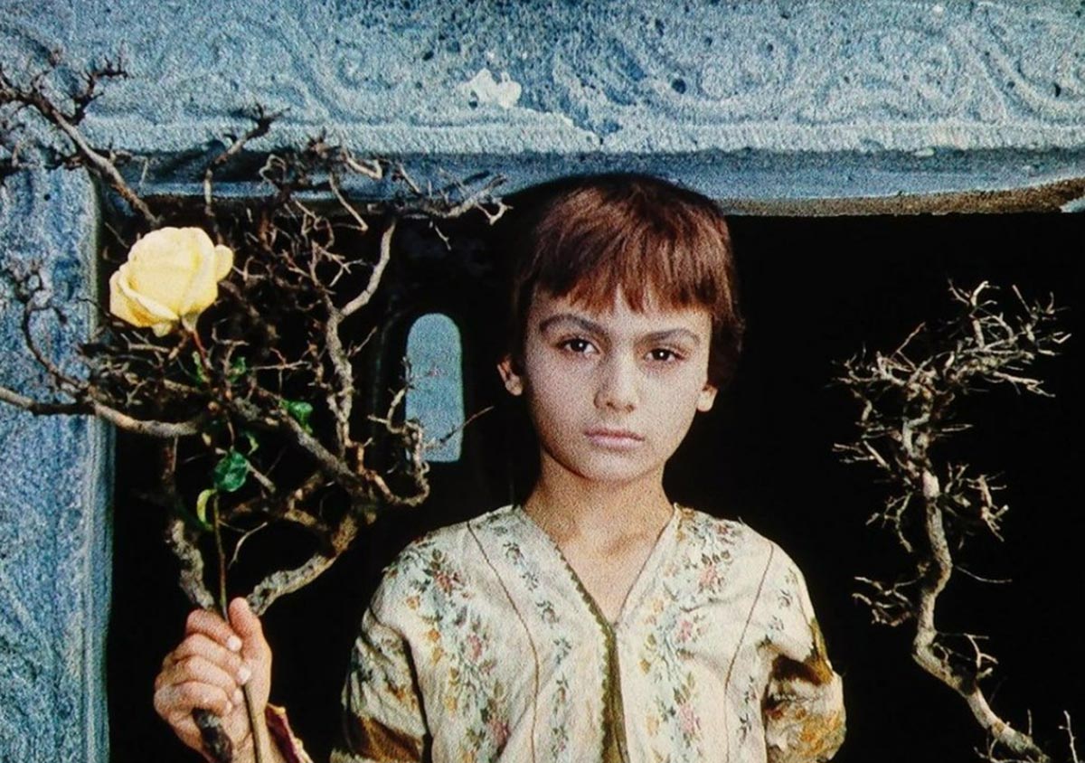 кадр Цвет граната 15