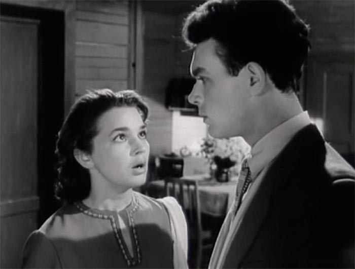 кадр Цветок на камне 5