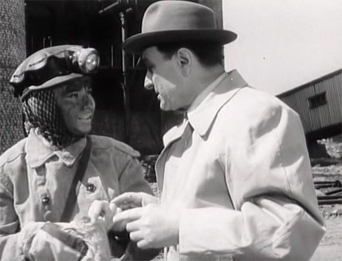 кадр Цветок на камне 11