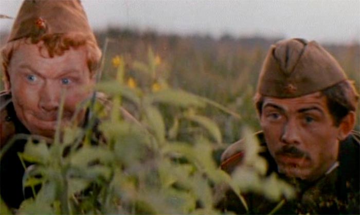 Кадр из фильма Дачная поездка сержанта Цыбули кадр Дачная поездка сержанта Цыбули 8