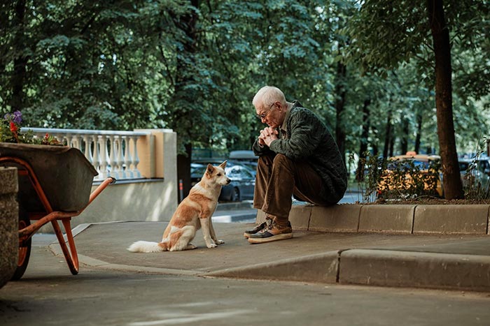 кадр Дедушка без адреса 3