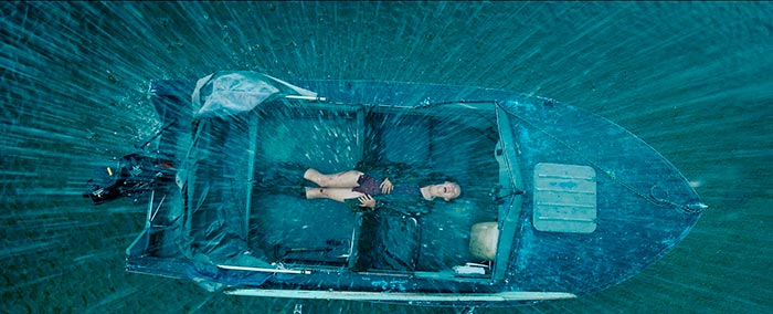 кадр Дикая 11