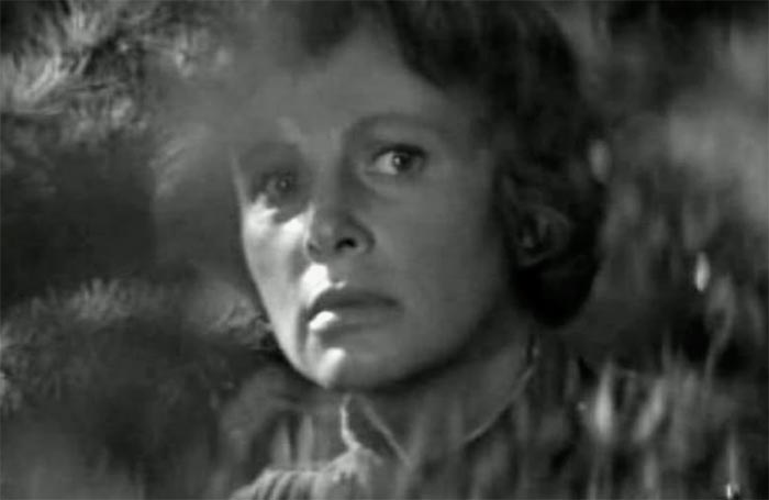 кадр Дикий мёд 11