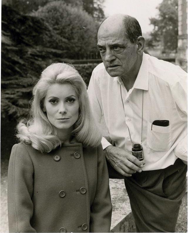 Кадр из фильма Дневная красавица кадр Дневная красавица 18