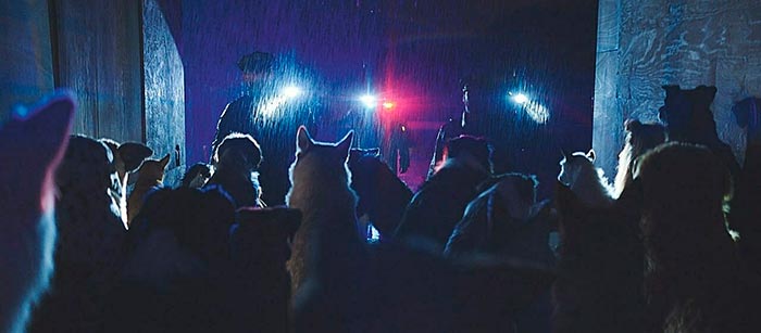 кадр Догмен 9