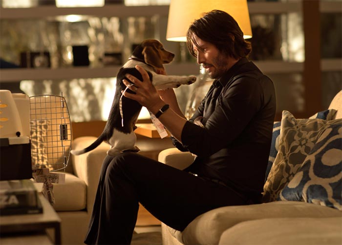 кадр Джон Уик 5