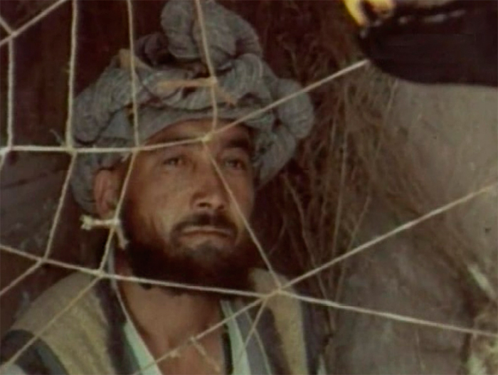 кадр Гляди веселей 10