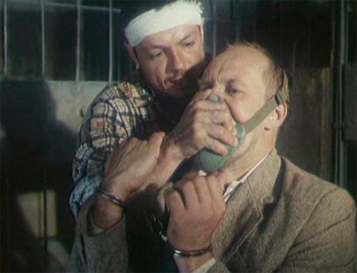 кадр Год собаки 5