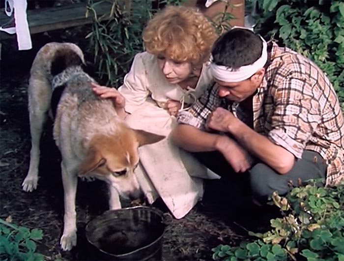 кадр Год собаки 10