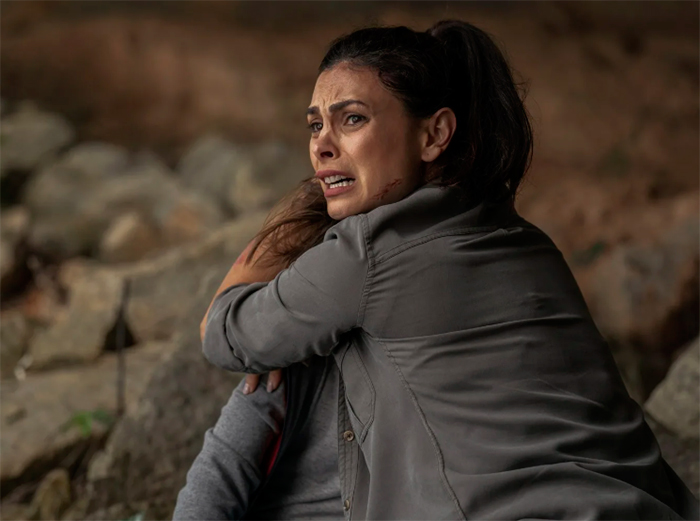 кадр Гренландия 11