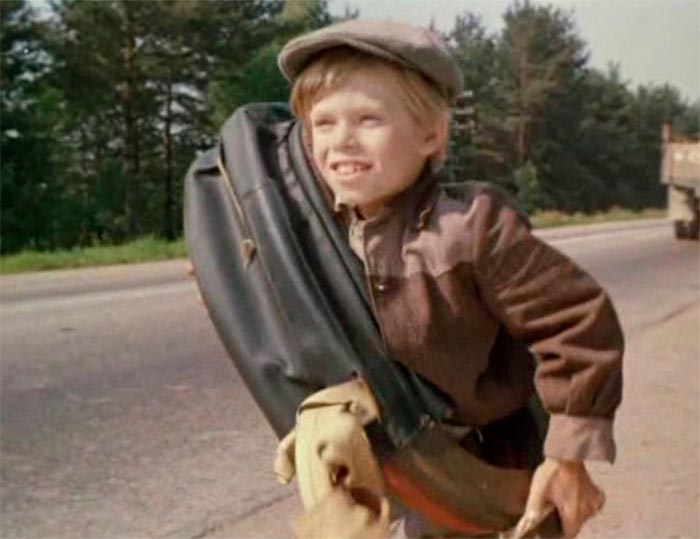 кадр Хомут для Маркиза 3