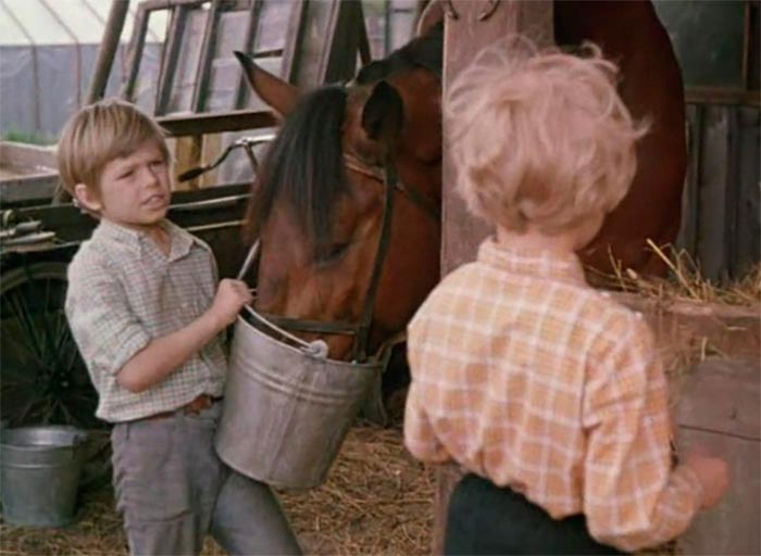 кадр Хомут для Маркиза 7