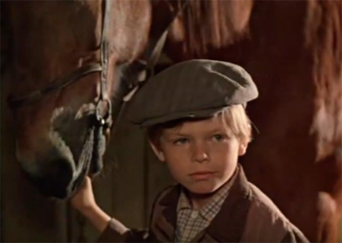 кадр Хомут для Маркиза 9