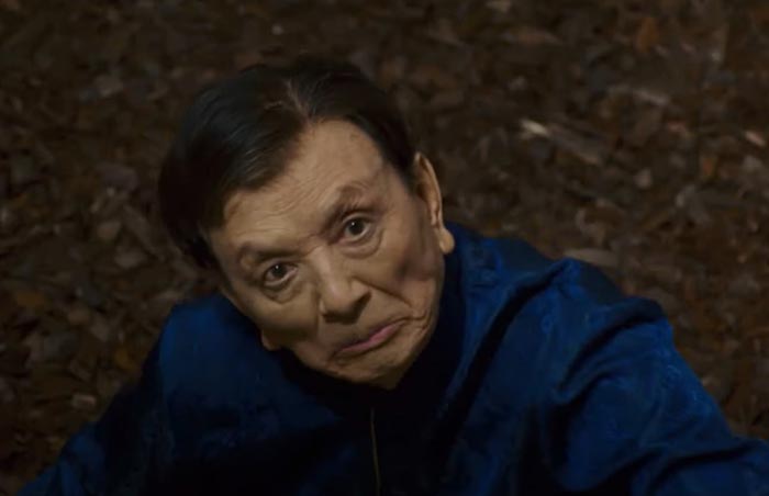 Кадр из фильма Хранители пяти королевств кадр Хранители пяти королевств 5