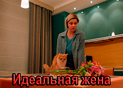 Идеальная жена