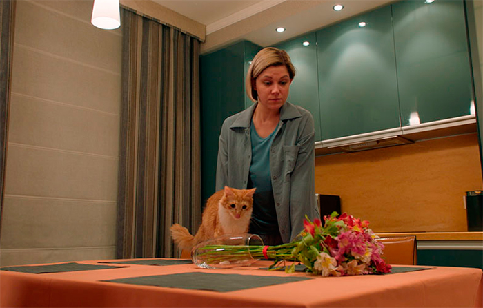 Кадр из фильма Идеальная жена кадр Идеальная жена 8