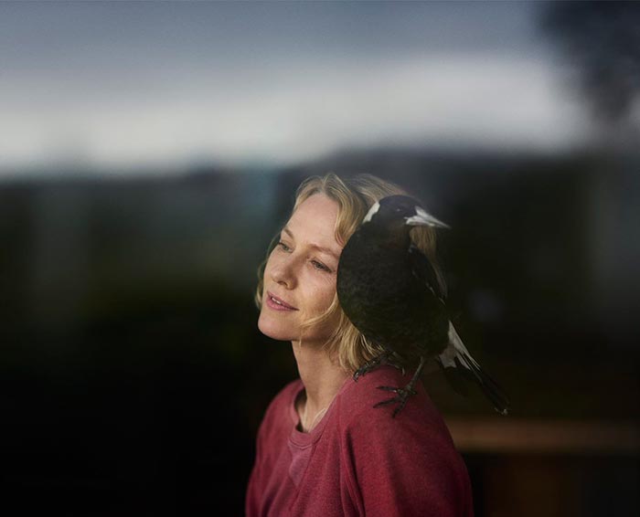 Кадр из фильма История семьи Блум кадр История семьи Блум 9