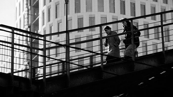 кадр Картины дружеских связей 9