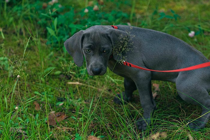 Кадр из фильма Каруза кадр Каруза 8