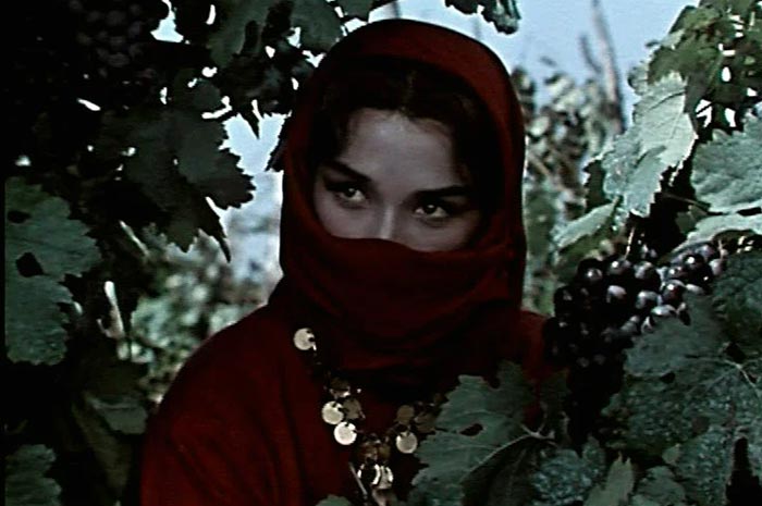 Фильм «Казаки» (1961) - сюжет, актеры и роли, кадры из фильма