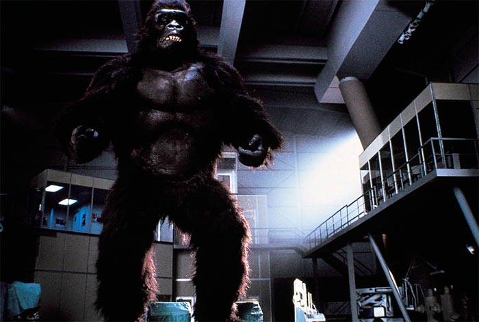 Кадр из фильма Кинг Конг жив кадр Кинг Конг жив 3