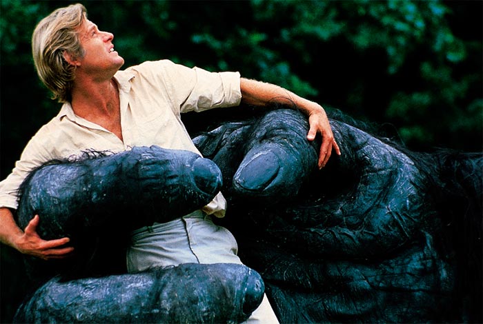 Кадр из фильма Кинг Конг жив кадр Кинг Конг жив 5