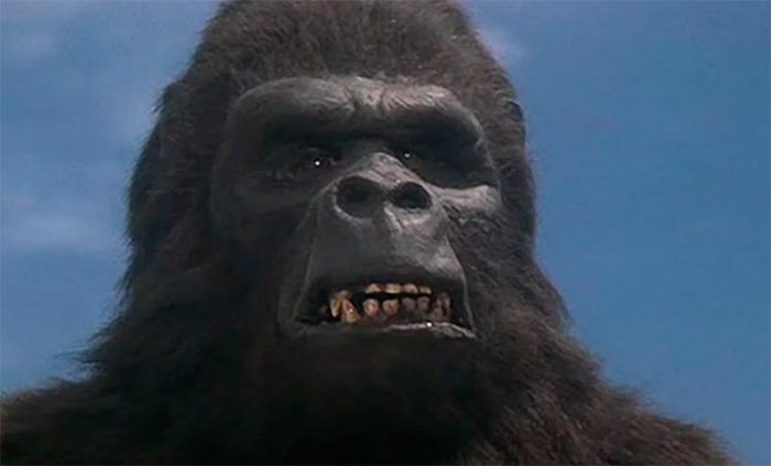Кадр из фильма Кинг Конг жив кадр Кинг Конг жив 6
