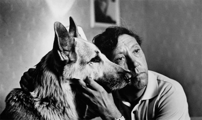 кадр Ко мне, Мухтар! 2