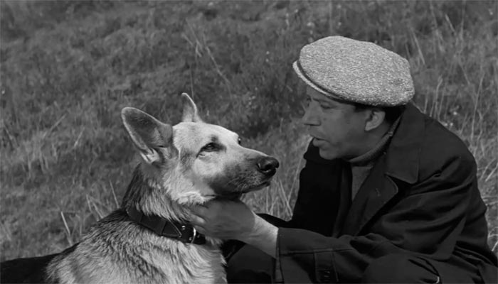 Фильм «Ко мне, Мухтар!» (1964) - сюжет, актеры и роли, кадры из фильма