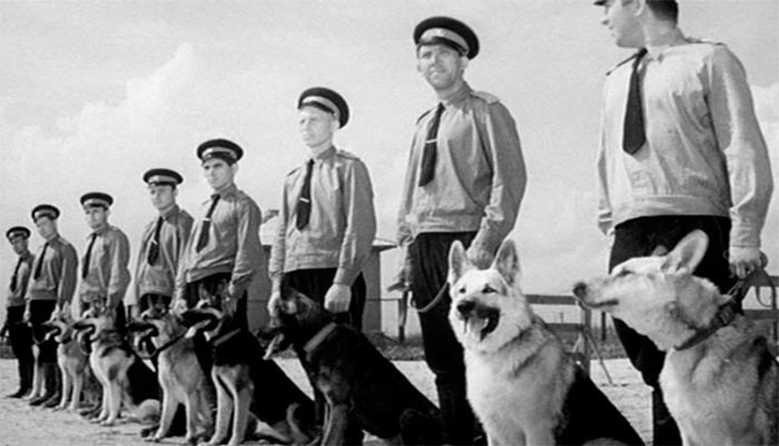 кадр Ко мне, Мухтар! 6