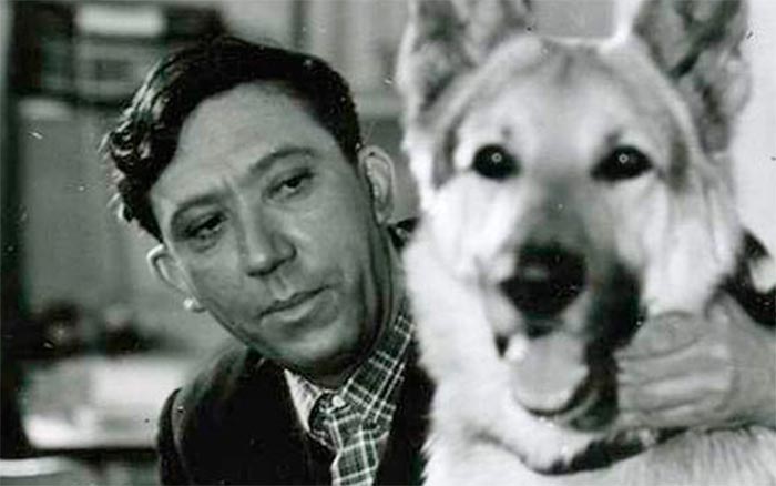 кадр Ко мне, Мухтар! 7