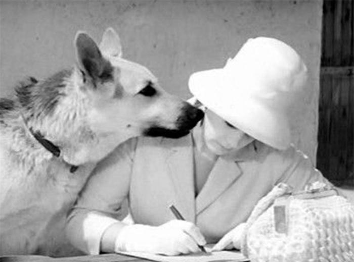 кадр Ко мне, Мухтар! 9