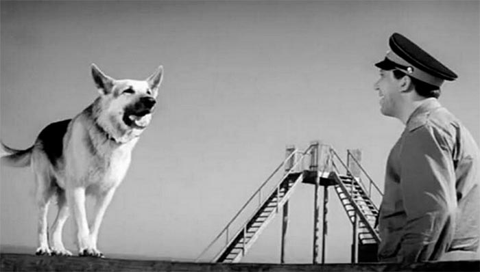 кадр Ко мне, Мухтар! 11