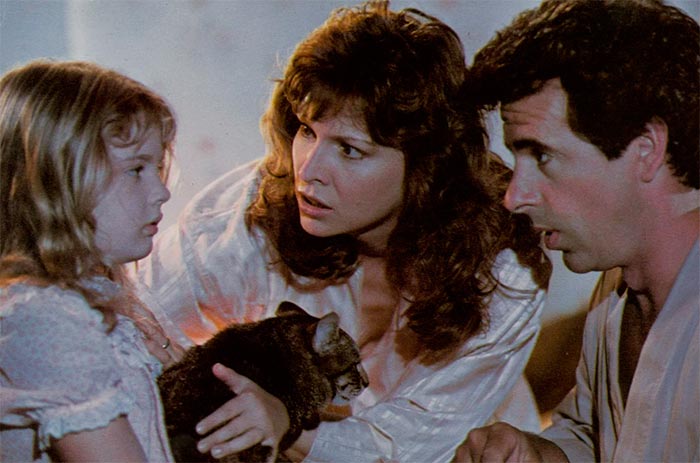 кадр Кошачий глаз 2