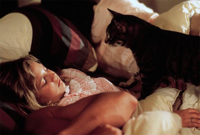 кадр Кошачий глаз 5