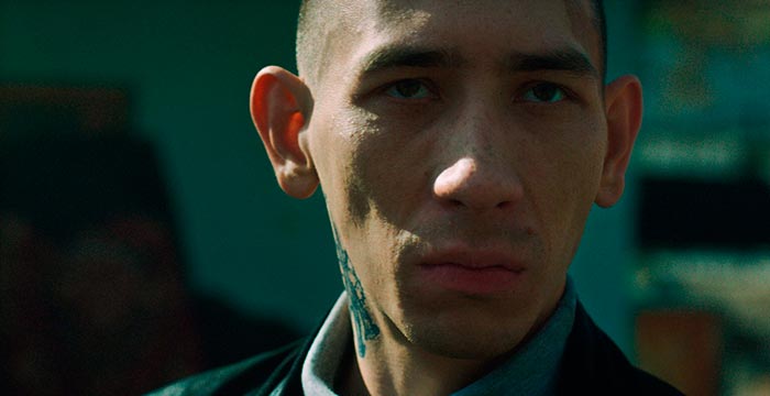 кадр Крецул 3