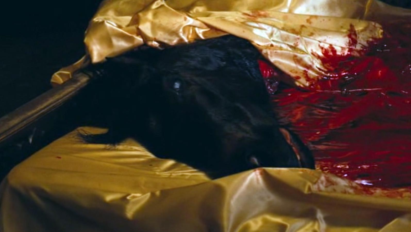 кадр Крестный отец 12