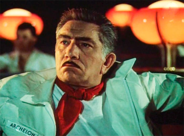 кадр Крик дельфина 4