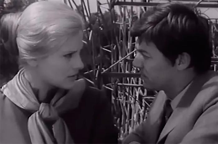 кадр Круг 10