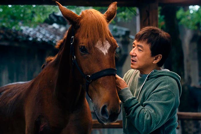 Кадр из фильма Кунг-фу жеребец кадр Кунг-фу жеребец 5