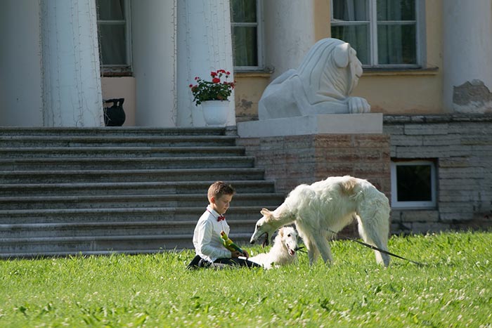 кадр Лебединое озеро 8