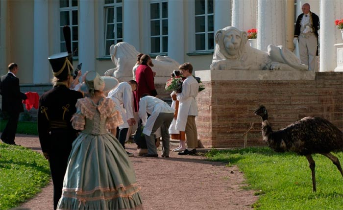 кадр Лебединое озеро 11