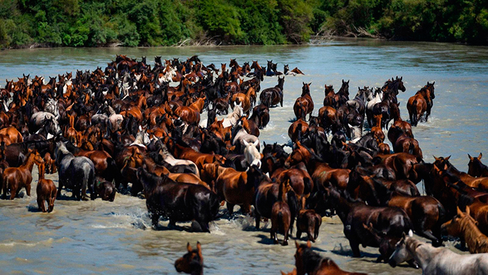 кадр Легенда 11