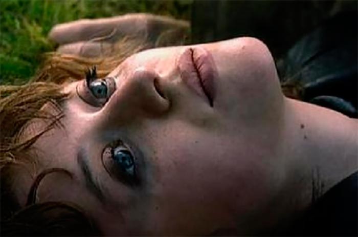 кадр Лиса Алиса 7