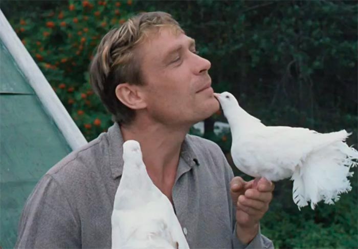 кадр Любовь и голуби 2