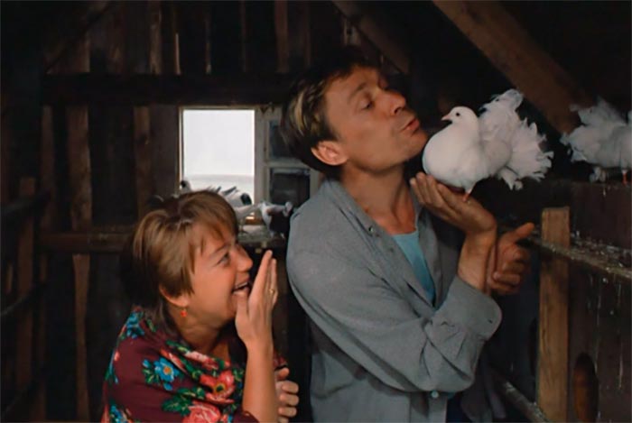 кадр Любовь и голуби 3