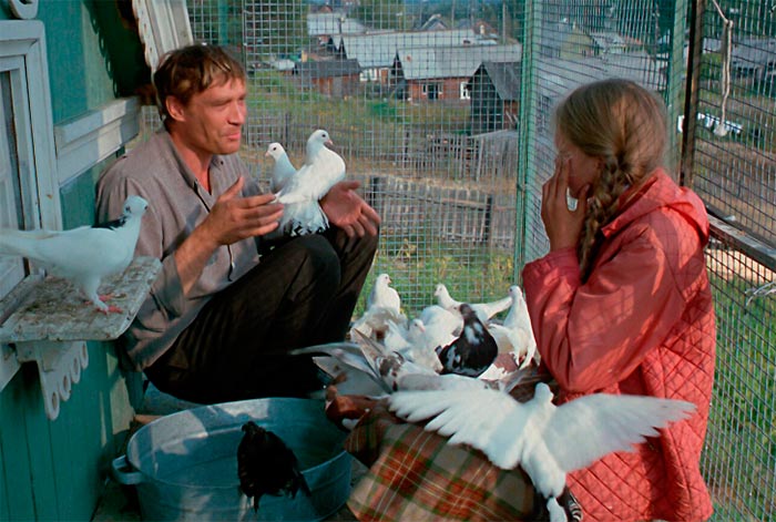 кадр Любовь и голуби 5