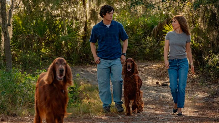 кадр Май, декабрь 11