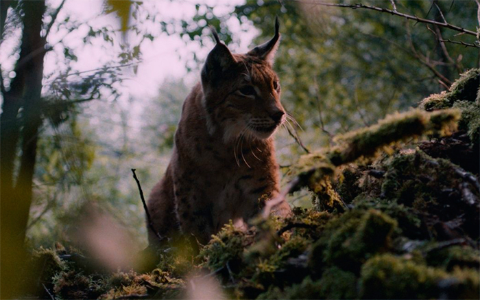 кадр Мой дед 8